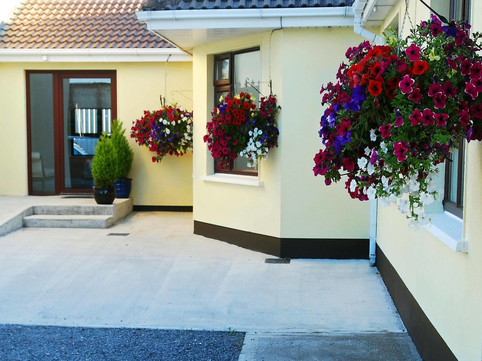 Hillview Self Catering Apartment Lusk ภายนอก รูปภาพ
